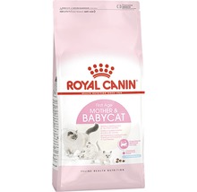 Hrană uscată pentru pisici, ROYAL CANIN Babycat 34, 2 kg-thumb-0