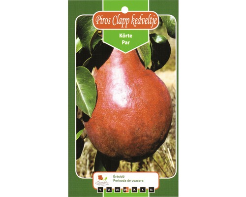 Soi de pere ''Pirospiros Clapp kedveltje''