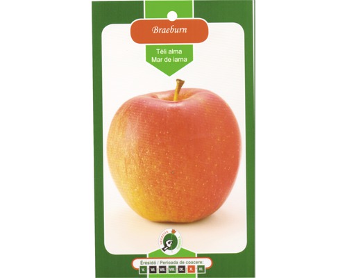 Măr Braeburn pe un ambalaj de produs pentru Hornbach