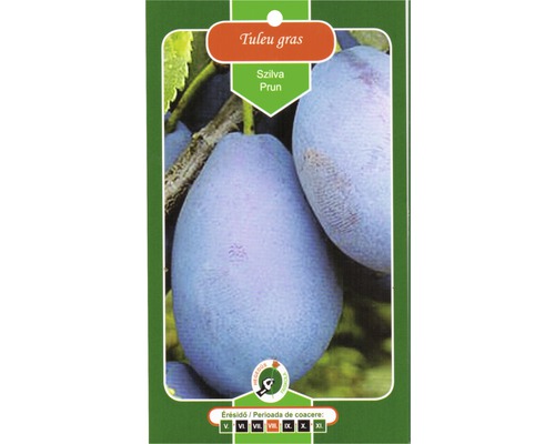 Pachet de semințe de prune Tuleu Gras
