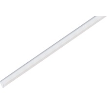 Profil transparent din plastic