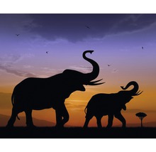 Silueta a doi elefanți într-un peisaj african