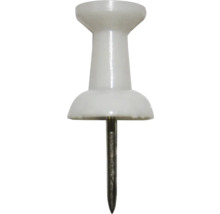 Tachină cu cap din plastic