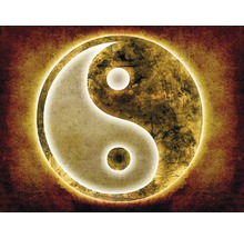 Simbolul Yin și Yang