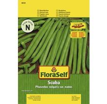 Semințe de legume FloraSelf fasole „Scuba”-thumb-0