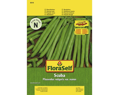 Semințe de legume FloraSelf fasole „Scuba”-0