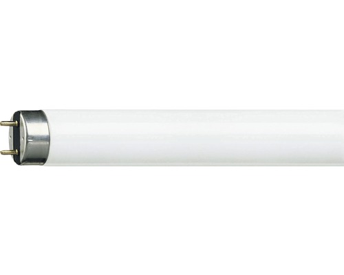 Neon Philips Master TL-D G13 T8 36W 3250 lumeni 1200mm lumină rece