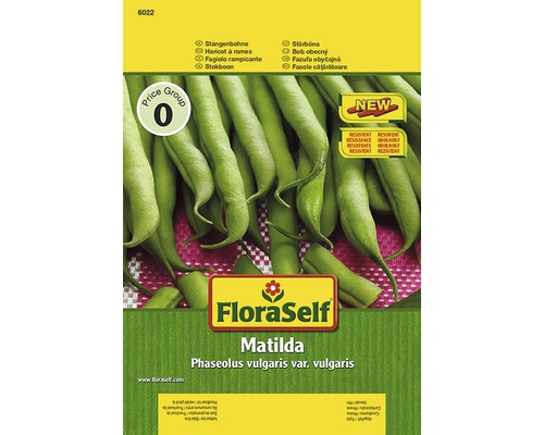 Semințe de legume FloraSelf fasole cățărătoare „Matilda”-0