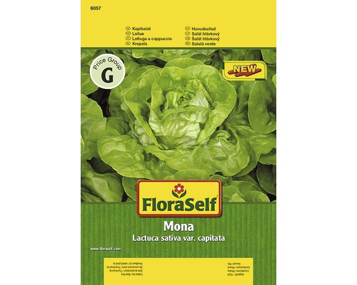 Semințe de legume FloraSelf, salată verde 'Mona'