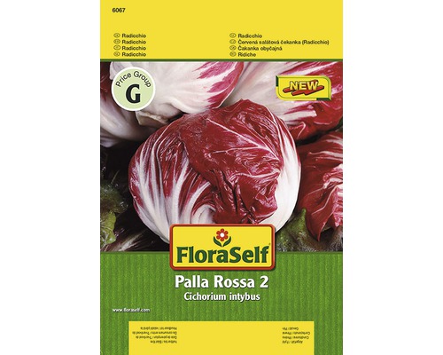 Semințe de legume FloraSelf, radicchio „Palla Rossa 2”