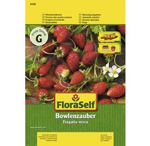 FloraSelf bandă cu semințe de căpșuni de lună „Bowlenz”-thumb-0