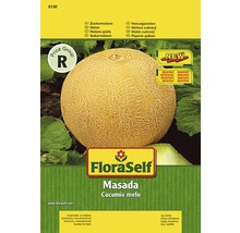 Semințe de legume FloraSelf, pepene galben „Masada”-thumb-0