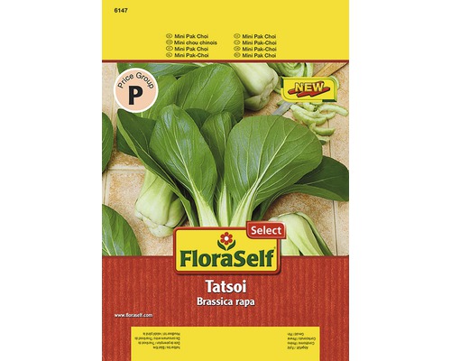Semințe de legume FloraSelfSelect, Pak Choi „Tatsoi”