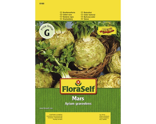 Semințe de legume FloraSelf, țelină de rădăcină „Mars”