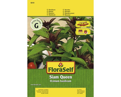 Semințe de plante aromatice FloraSelf, busuioc „Siam Queen”