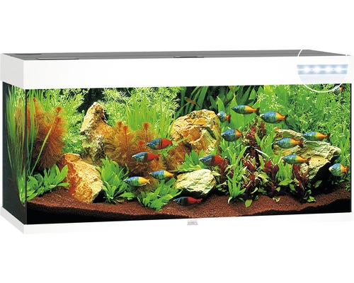 Acvariul JUWEL Rio 240 iluminare cu LED, pompă, filtru, încălzitor, fără dulap inferior, alb
