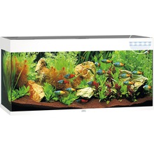 Acvariu Juwel Rio 180 LED cu sistem de iluminat, pompă, filtru, încălzitor, fără dulap inferior, alb-thumb-1 Acvariu Juwel Rio 180 LED cu sistem de iluminat, pompă, filtru, încălzitor, fără dulap inferior, alb-thumb-1