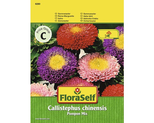 Seminţe pentru flori FloraSelf, aster Pompon