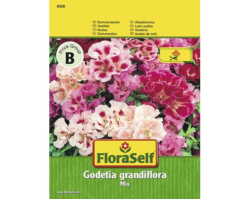 Seminţe pentru flori FloraSelf, Clarkia amoena (azaleea de grădină) „Godetia”