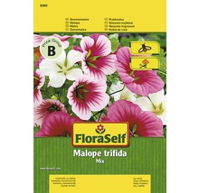Seminţe pentru flori FloraSelf, Malope trifida (nalbă pâlnie)-thumb-0