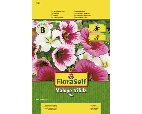 Seminţe pentru flori FloraSelf, Malope trifida (nalbă pâlnie)-0