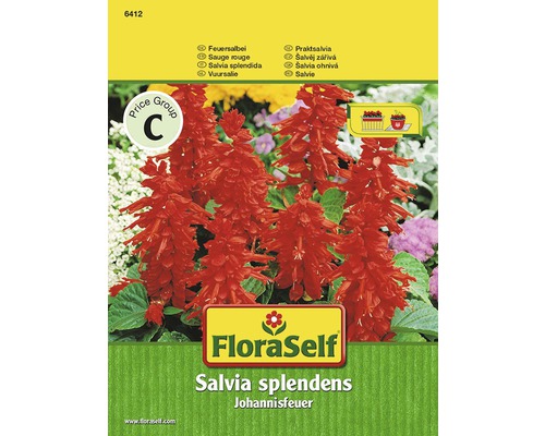 Seminţe pentru flori FloraSelf, salvie roșie