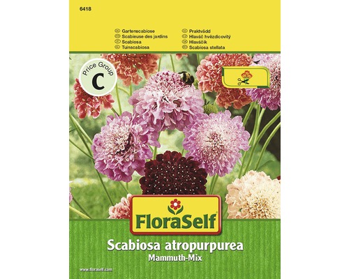 Semințe pentru flori FloraSelf sipică de grădină Mammuth-Mix”