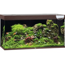 Acvariu Juwel cu plante și pești