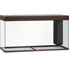 Acvariu gol cu filtru