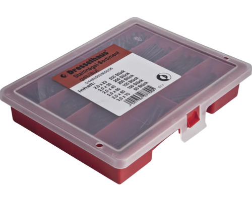 Assortiment de cuie din oțel Dresselhaus în cutie de sortare