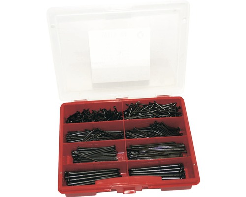 Cutie de sortiment cu cuie din oțel de diferite dimensiuni