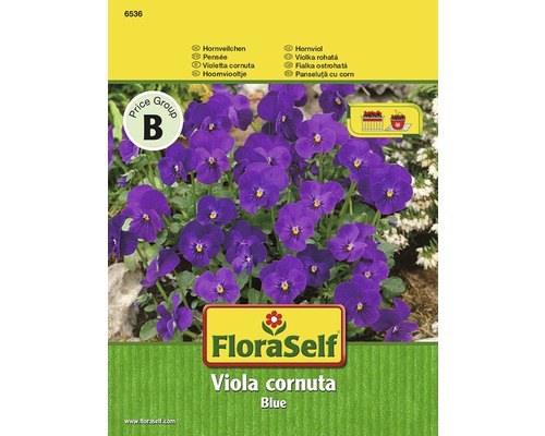 Seminţe pentru flori FloraSelf, Viola cornuta (panseluțe cu flori mici)
