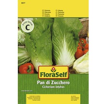 Semințe de legume FloraSelf, cicoare „Pan di Zuchero”-thumb-0