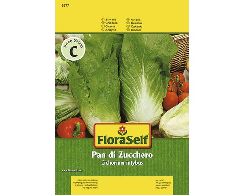 Semințe de legume FloraSelf, cicoare „Pan di Zuchero”-0
