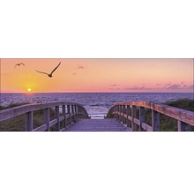 Tablou sticlă Way To Sea 50x125 cm
