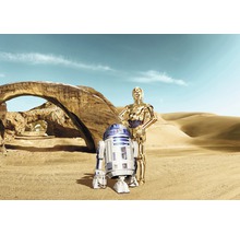 Scenă cu roboții R2-D2 și C-3PO într-un peisaj deșertic