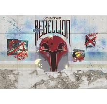 Zid de beton cu motive graffiti Star Wars și textul Join the Rebellion.