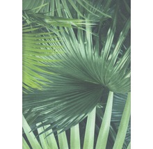 Tapet vlies Crispy Paper frunze de palmier, verde 10,05x0,53 m-thumb-0