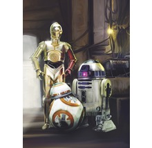 Fototapet hârtie 4-447 Disney Edition 4 Star Wars 3 Droids 184x254 cm