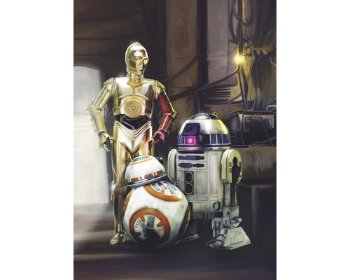 Fototapet hârtie 4-447 Disney Edition 4 Star Wars 3 Droids 184x254 cm