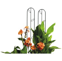 Spalier Clematis Tabac, metal, 14x150 cm, antracit-thumb-5