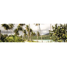 Peisaj cu palmieri, mare și munți împăduriți