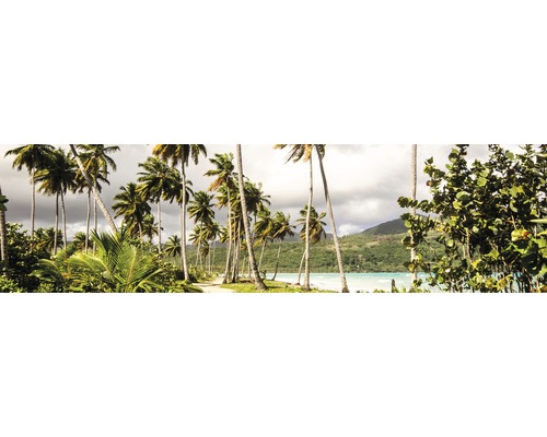 Peisaj cu palmieri, mare și munți împăduriți