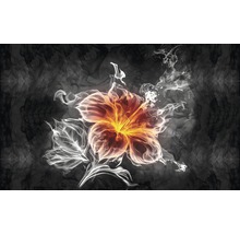 Model floral decorativ pe fundal întunecat