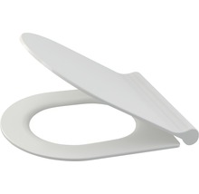 Capac WC din plastic