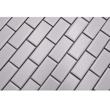 Mozaic piscină ceramic CBR 03WM alb 30x30 cm