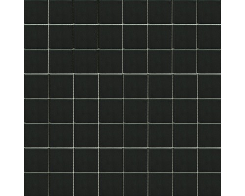 Mozaic piscină ceramic CD 192 negru 30x30 cm