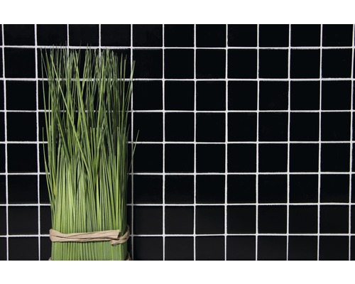 Mănunchi de iarbă în fața unui fundal de gresie neagră