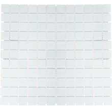 Mozaic piscină sticlă CM 4045 alb mat 30,2x32,7 cm
