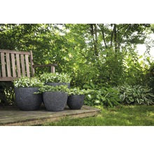 Trei jardiniere întunecate din plastic plantate pe o terasă de lemn într-o grădină.